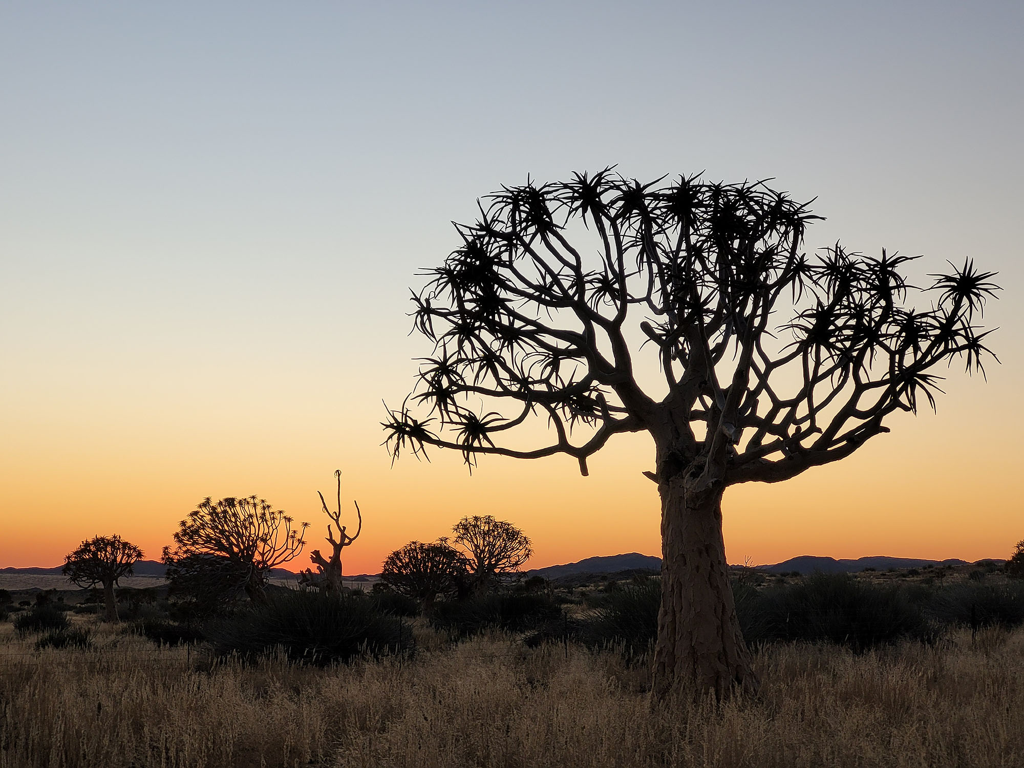 Photograph from a previous trip on the Orange River.